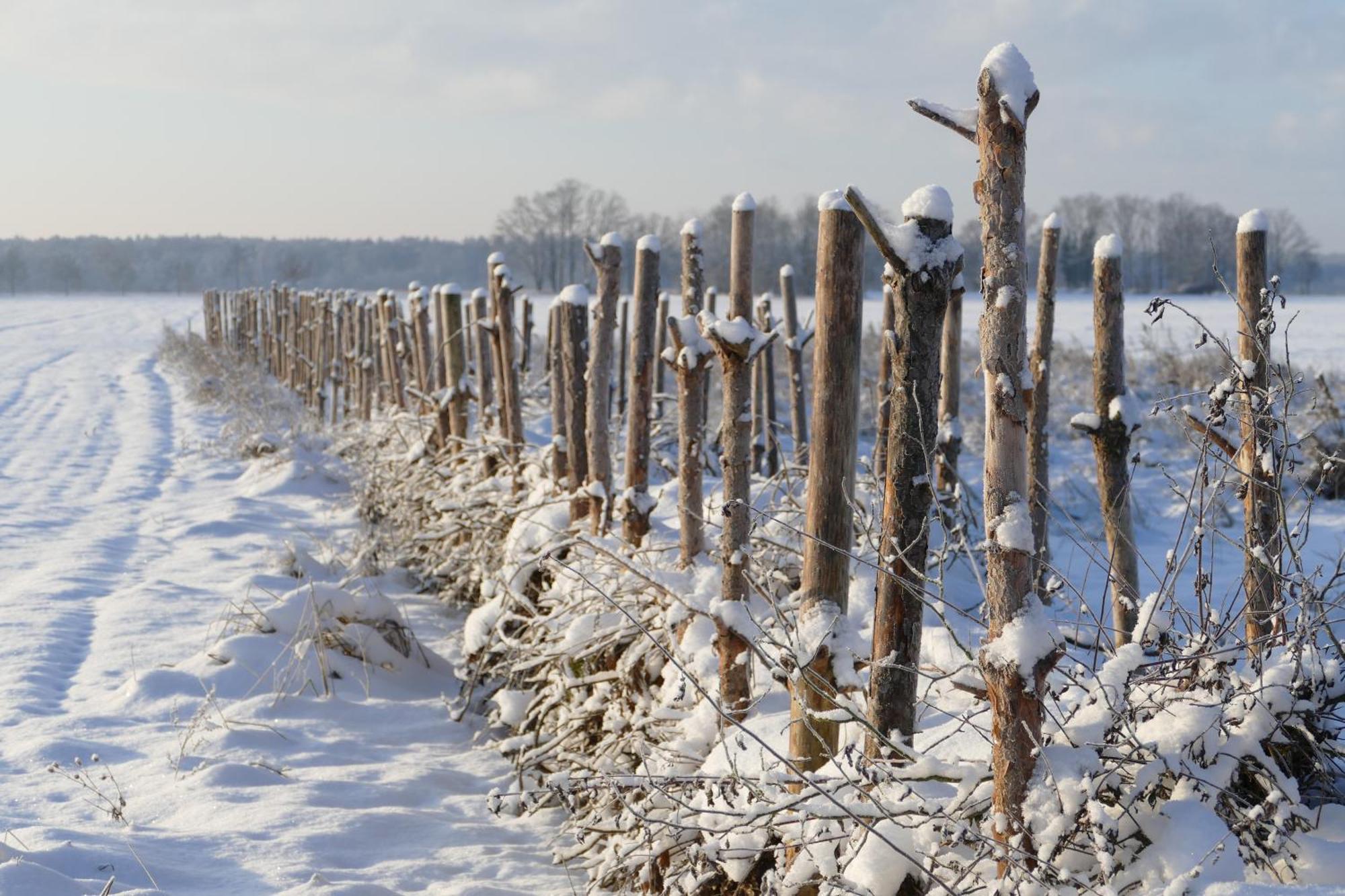 Naturgarten Karlsfeld In Der Schoenen Lausitz Welzow Buitenkant foto